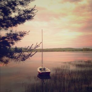 Meet your Posher, Quinn